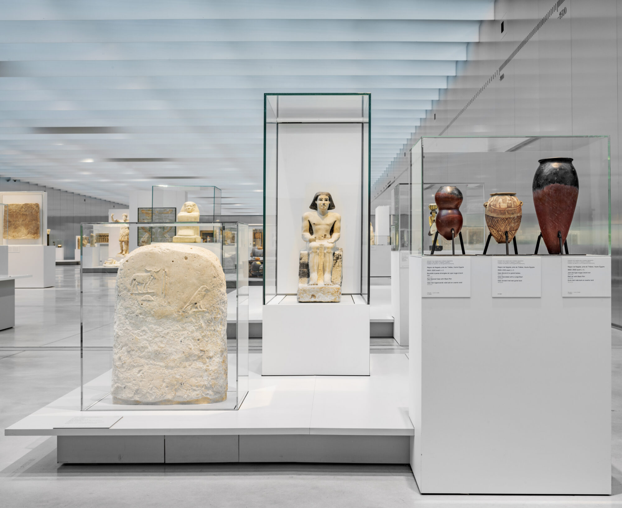 Artifacts Museum Display Cases
