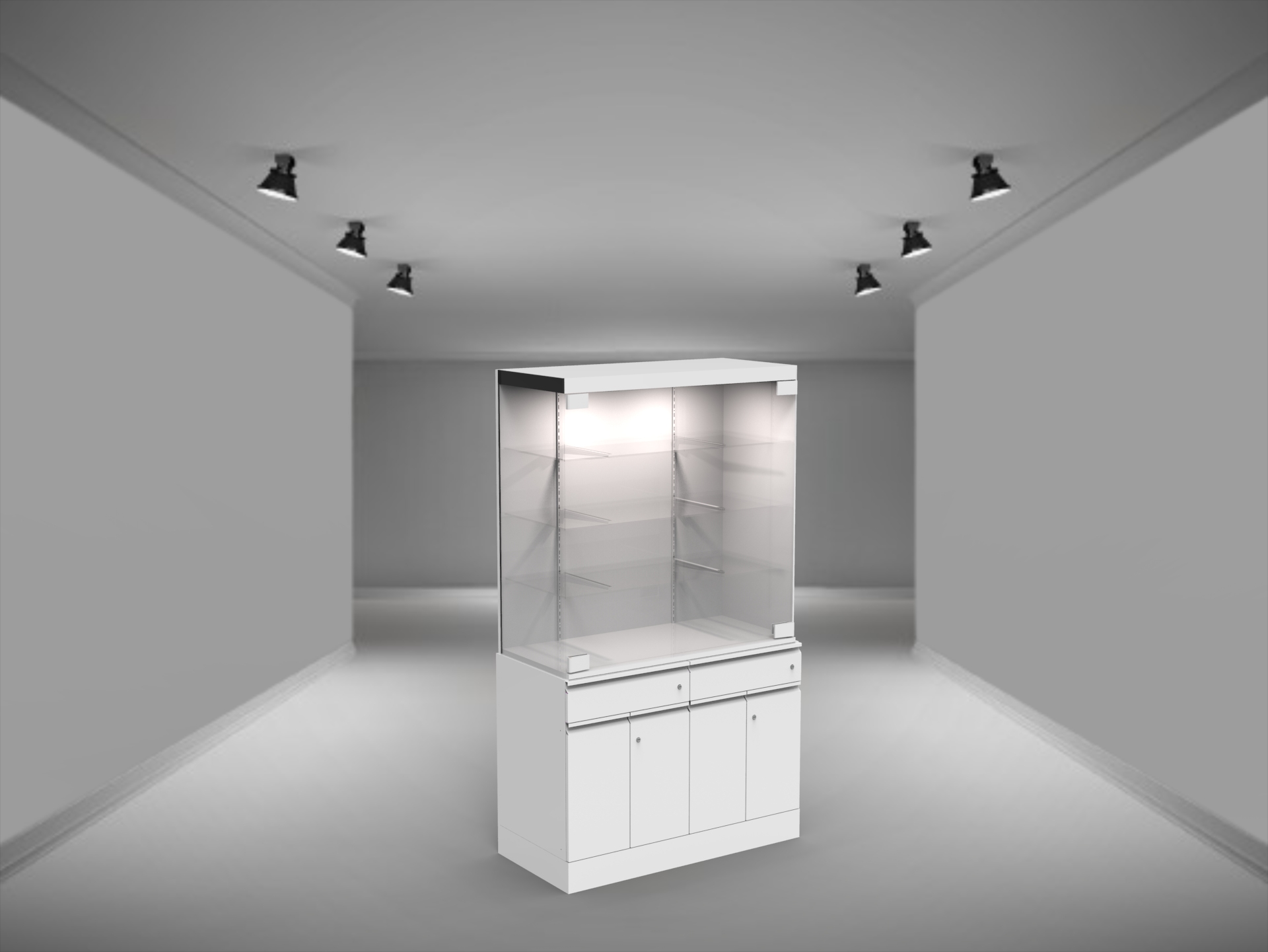 Type 1B-Freestanding display case
